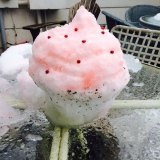 Kati Wharton is well known as the Cupcake Lady, so of course she made a snowcake! 
