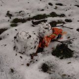 The Day After: "Our snowman captures how I feel about the weather right now." 
