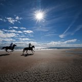 Galloping on the beach