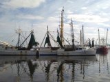 Small Victory for Trawling Industry 