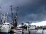 The trawl fleet weathers enough storms. The NCWF petition would destroy them. 