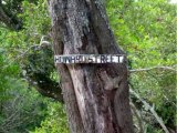 Iconic Howard Street Sign Missing