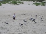 Brody Waltz flocks together with some gulls in 2009.