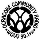 News from Ocracoke's Village Voice