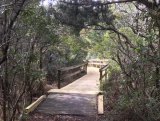Improvements at the Ocracoke NPS Nature Trail will greet visitors in 2019