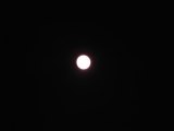 Super Moon! Terrible photography skills! Someone send me a better photo of this amazing moon, please!?! 