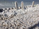 Frozen docks and marsh grass along the sound off North Pond Road