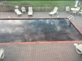 Vandals Dye Boyette Swimming Pool