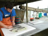 Wilson Littell scales and fillets fresh trout at Ocracoke Fish House. If House Bill 983 is enacted, these fish would be off limits to commercial fishermen and unavailable for purchase by the public.