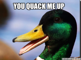 Quacks and Experts
