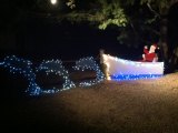 Santa and His Dolphins Win Best in Show