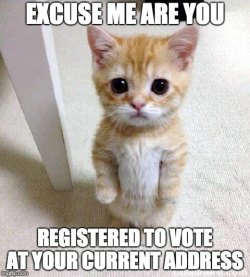 Ocracoke Voter Registration Drive