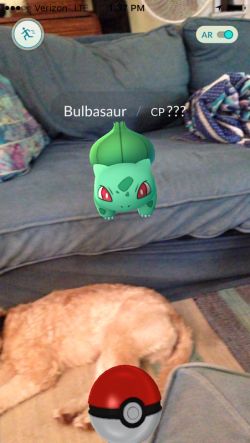 An unsuspecting canine is about to be pounced upon by a Bulbasaur. Emmet caught his first Pokémon without leaving the living room.