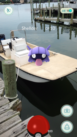 Shellder, a mollusk-like Pokémon, was caught aboard a boat at the Community Store docks.