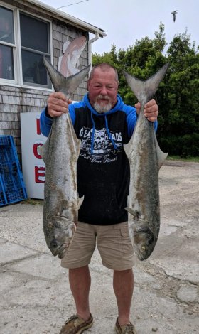 Dan James caught several bluefish on May 9th from 30–36" fishing Ocracoke.