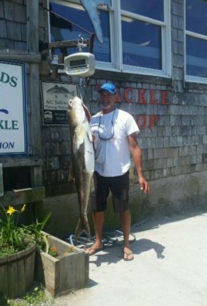 Chip Evans with his 47 pound cobia caught in the sound on June 11th, 48" length, 23" girth.