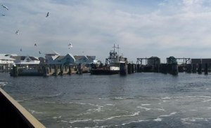 Hatteras ferry dock, oh how we miss you! 