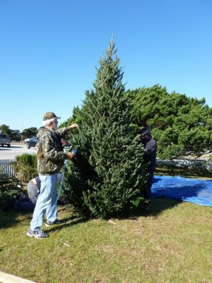 Rudy Austin strings the lights on this year's just-delivered tree, while the Tideland guys make it stable. 