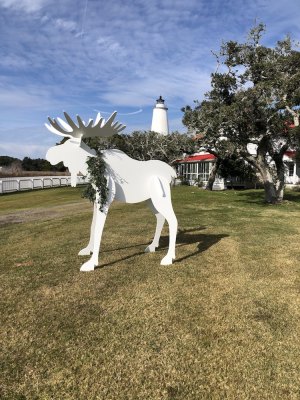 Mery Christmoose?! This moose appeared on the lawn at the Ocracoke Lighthouse Keeper's Quarters. NPS didn't put it there. Who did? 
