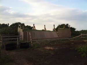 A large Pony Pens shelter was flipped onto its roof