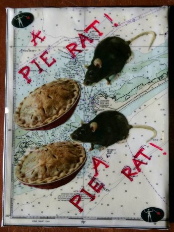A Pie Rat! A Pie Rat! by John Tregenza. This one now belongs to Capt. Rob Temple. 