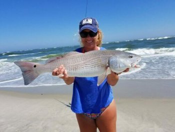 Kristie Broughman posed with 26" puppy drum she caught May 11th on South Point with line and fresh menhaden from Tradewinds.