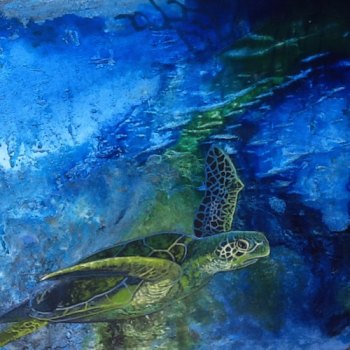 Come see this turtle and more artwork by Barbara Adams!