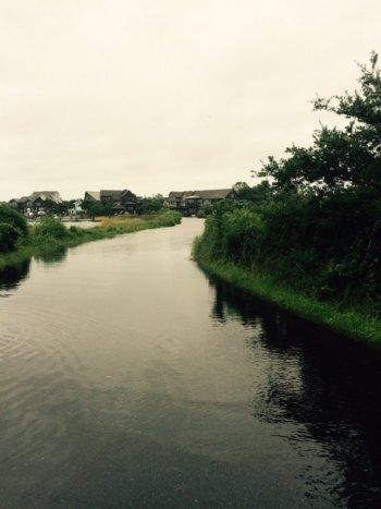 Jeramy Guillory took this on Silver Lake Drive at 9am