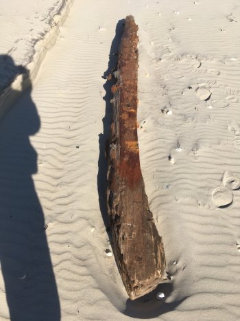 Shipwreck Beams Exposed By Gale