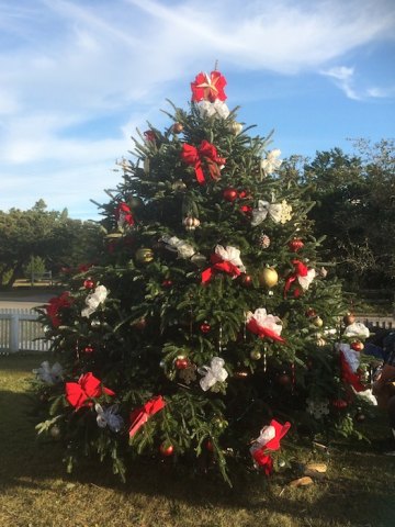 The Community Christmas Tree is purchased by Ocracoke Civic and Business Association, delivered to Ocracoke by the Variety Store, set up at the museum by the Tideland EMC crew, and decorated by Pat Austin, Chester Lynn, and OPS employee Marcy Brenner.