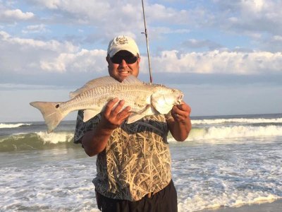 Adam Diaz from Bunn, NC caught this red drum today at about 7:30 near ramp 72 on cut squid. Thanks for the share!