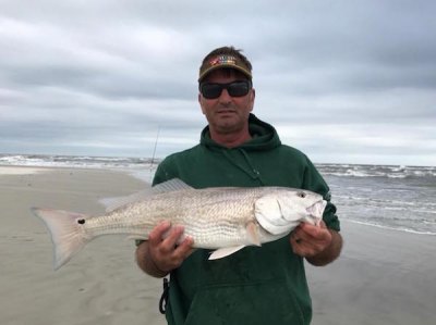 Rick Hughes caught 3 puppy drum at Ocracoke’s south point using frozen mullet.