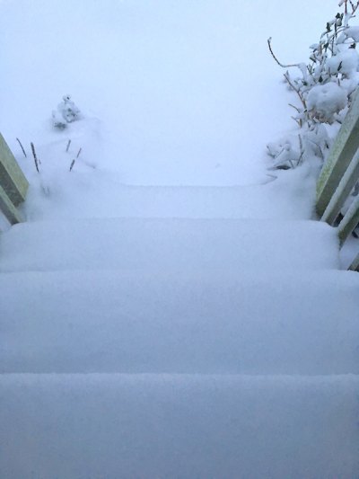 Pristine snow on my front steps Thursday morning