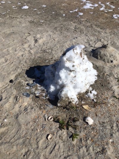 Sandy Snowman was fading fast on Friday afternoon.