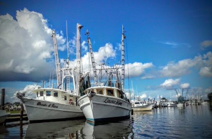 Most trawlers in NC are less than 40-feet, as seen here in Swan Quarter Bay.