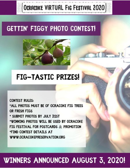 Show Us Your Figs