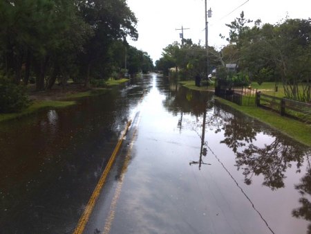No way, Jose! High tide on Back Road around noon today. 