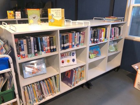 Library shelves