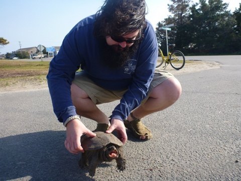Hairy Local Man Saves Turtle