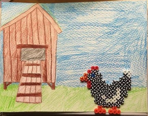 Ocracoke Chicken by Ocracoke School 6th grader Mariah Temple