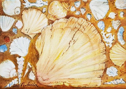 Seashells by Nancy Sadler