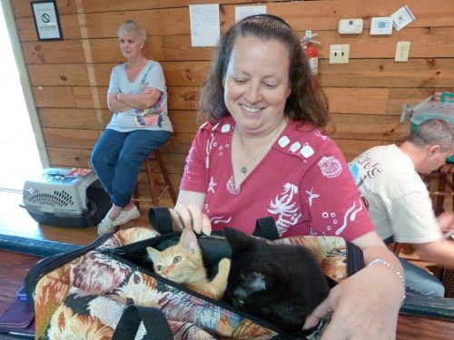 Pets are addictive!  Ocracat rescues Sunshine and Midnight make four for Kati.  