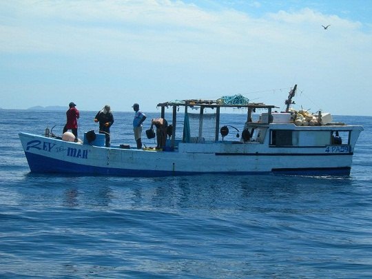 Five hardworking Panamanian fishermen were offshore for eight straight days on this vessel, said Sara.