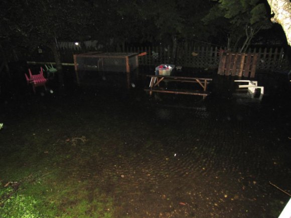 My yard last night around 11pm. I think the water got a little higher, but I was glued to the game and missed it. What a mess! Don't worry about the rabbit pen, Bun is safe and dry in the house with us!